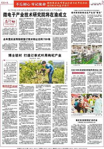 重慶高等院校技術(shù)轉(zhuǎn)讓成果豐碩，去年簽訂合同730項(xiàng)推動(dòng)創(chuàng)新發(fā)展